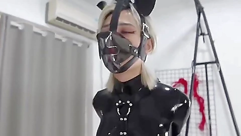 Latex Dog